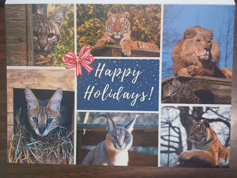 2025 Single Holiday Card
