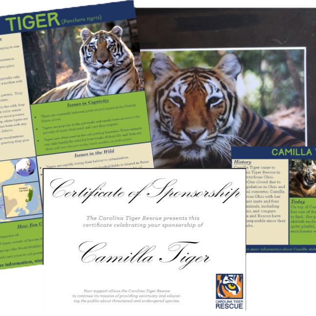 Custom Sponsorship-Assorted