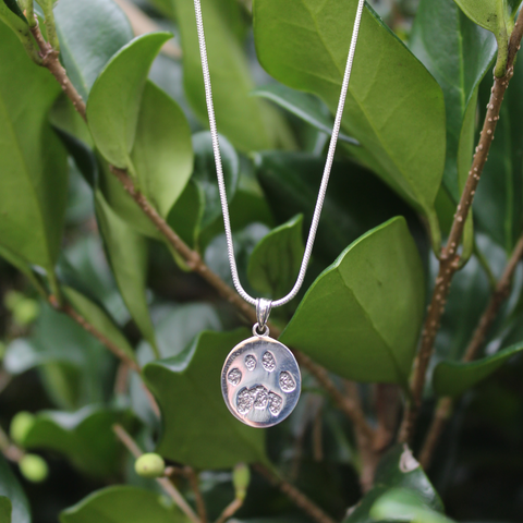 Silver Pendant Necklace