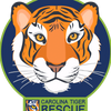Tiger Tribe Club