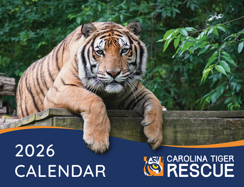 2026 Calendar