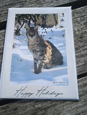 Single Holiday Card