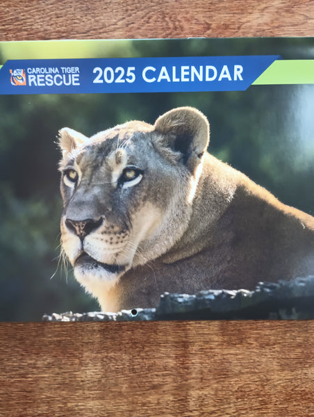 2025 Calendar