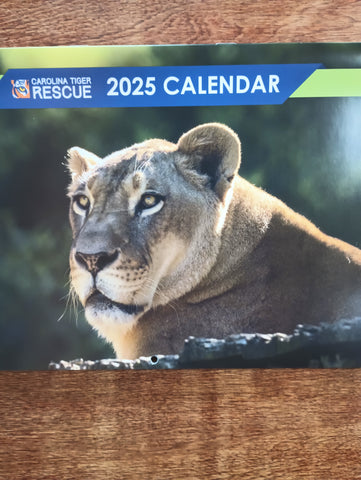 2025 Calendar