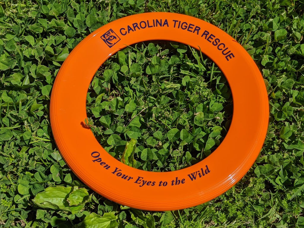 Logo Ring Flyer